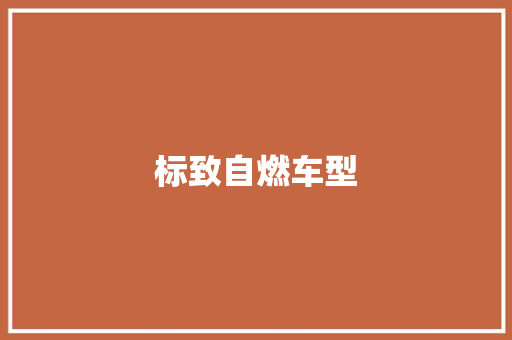 标致自燃车型