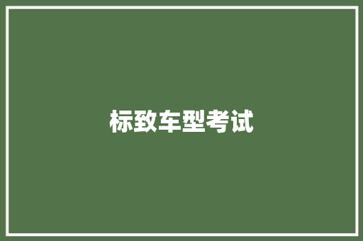 标致车型考试