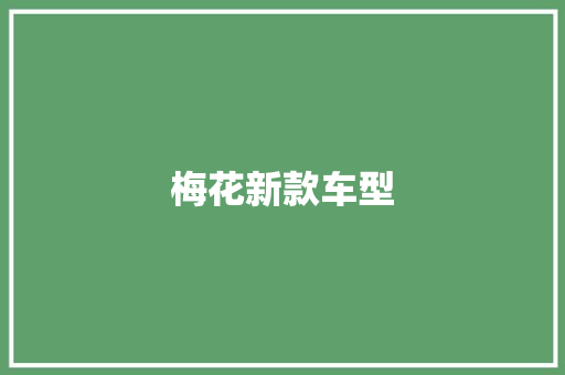 梅花新款车型