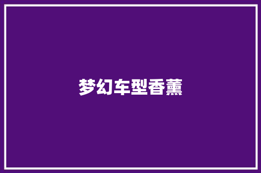 梦幻车型香薰