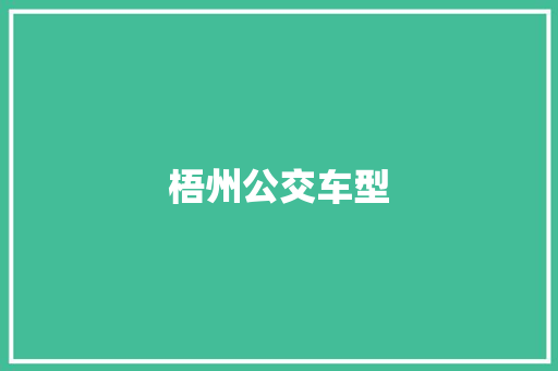 梧州公交车型