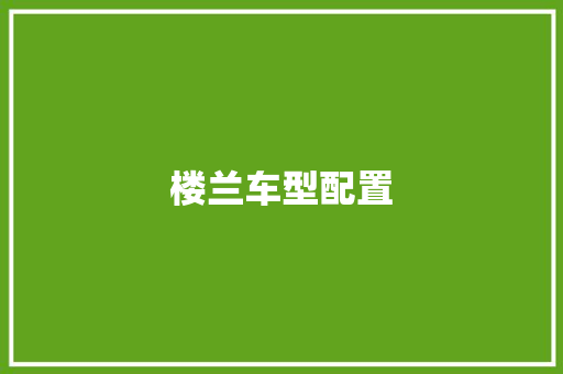 楼兰车型配置