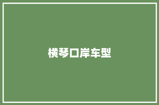 横琴口岸车型