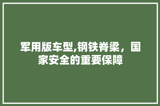 军用版车型,钢铁脊梁，国家安全的重要保障