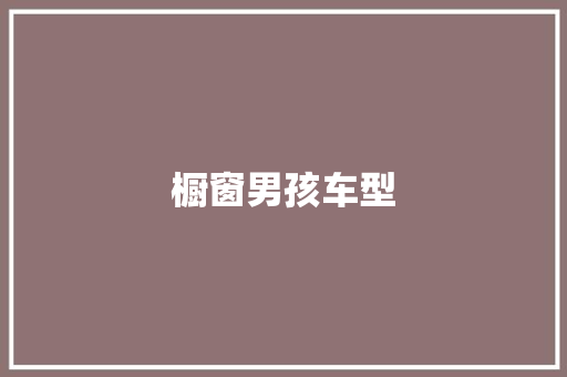 橱窗男孩车型