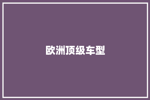 欧洲顶级车型
