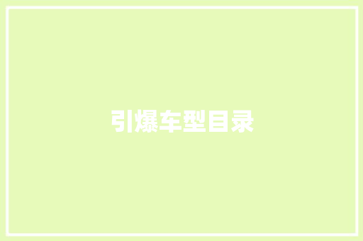 引爆车型目录