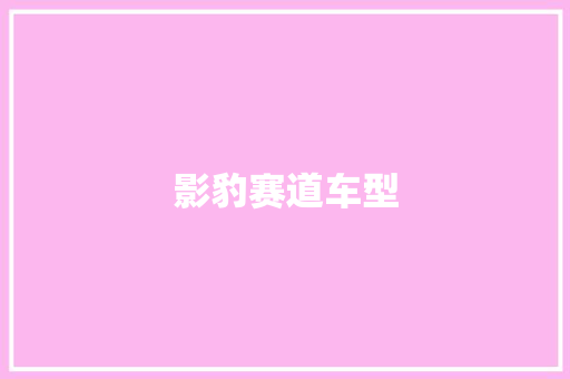影豹赛道车型