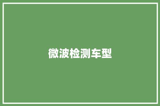 微波检测车型