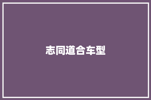 志同道合车型