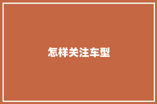 怎样关注车型
