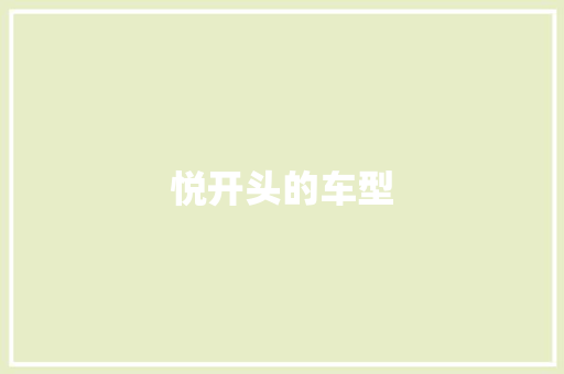 悦开头的车型 新款车型