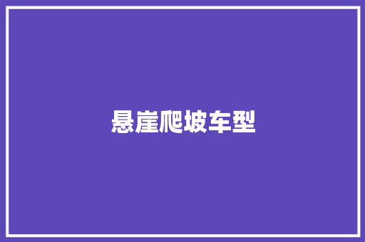 悬崖爬坡车型