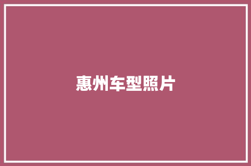 惠州车型照片