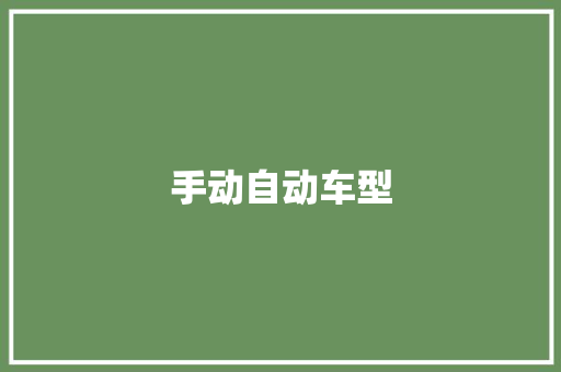 手动自动车型