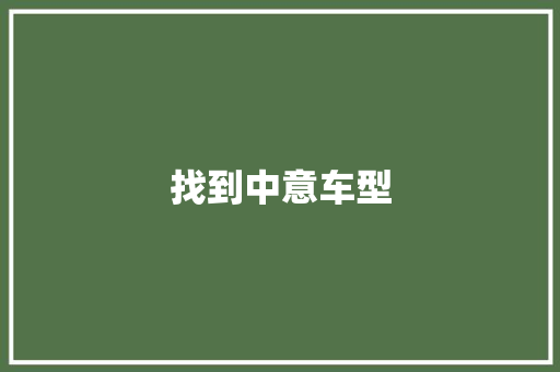找到中意车型