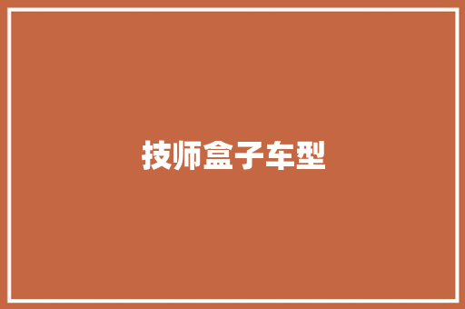 技师盒子车型