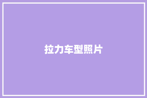 拉力车型照片