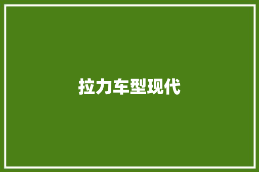 拉力车型现代