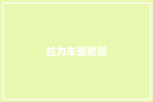 拉力车型轮毂