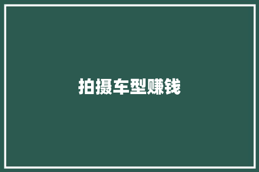 拍摄车型赚钱