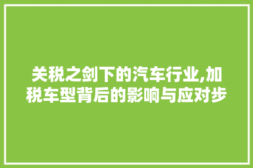 关税之剑下的汽车行业,加税车型背后的影响与应对步骤