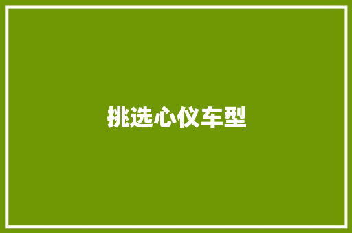 挑选心仪车型