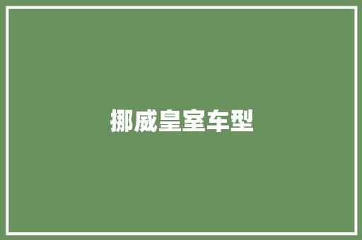 挪威皇室车型