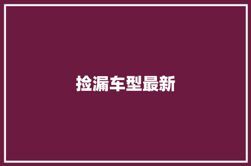 捡漏车型最新