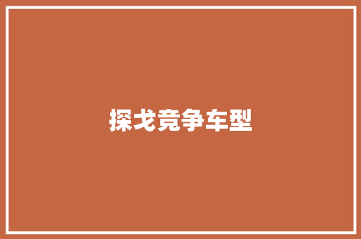 探戈竞争车型