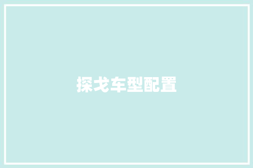 探戈车型配置
