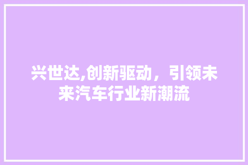 兴世达,创新驱动，引领未来汽车行业新潮流