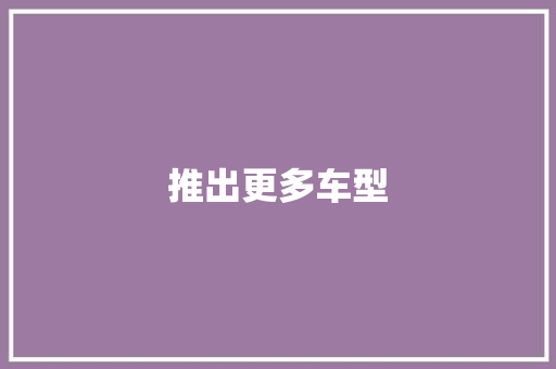 推出更多车型