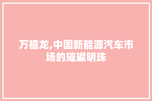 万禧龙,中国新能源汽车市场的璀璨明珠