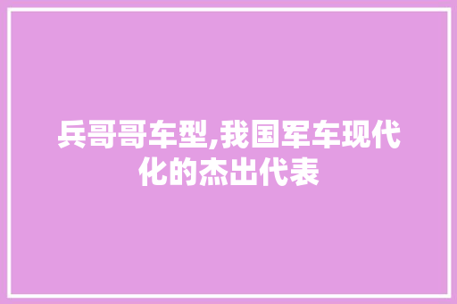 兵哥哥车型,我国军车现代化的杰出代表