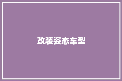 改装姿态车型