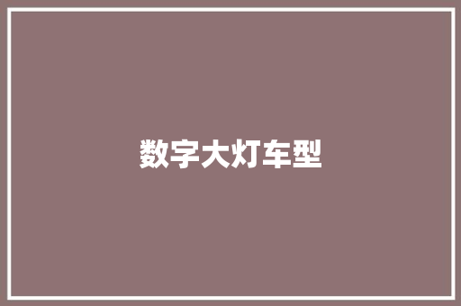 数字大灯车型