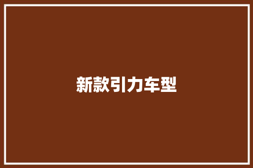 新款引力车型
