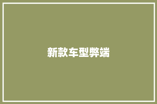 新款车型弊端