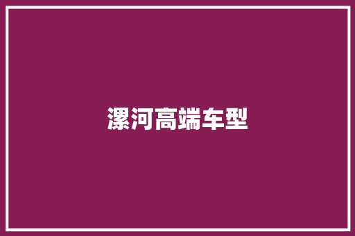 漯河高端车型