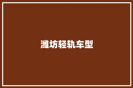 潍坊轻轨车型