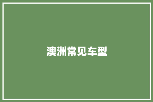 澳洲常见车型