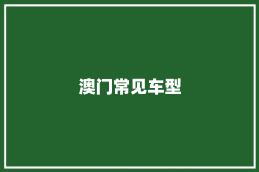 澳门常见车型