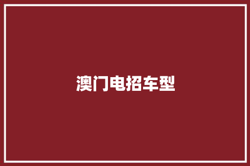 澳门电招车型