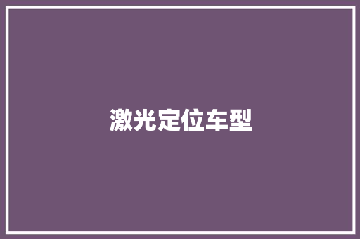 激光定位车型