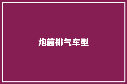 炮筒排气车型