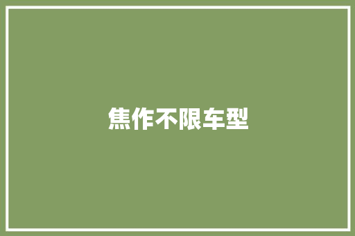 焦作不限车型