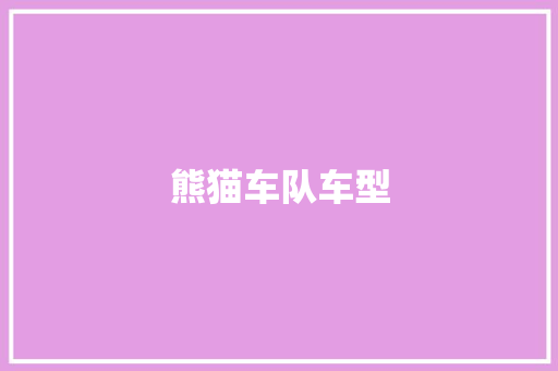熊猫车队车型
