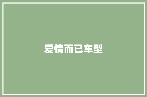 爱情而已车型