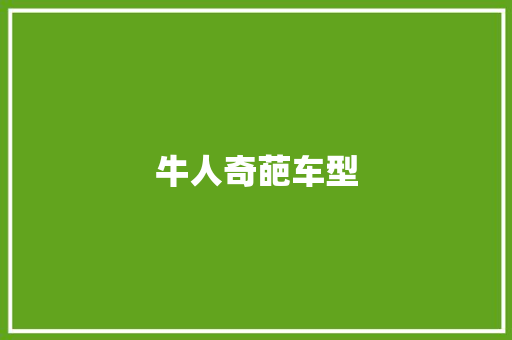 牛人奇葩车型